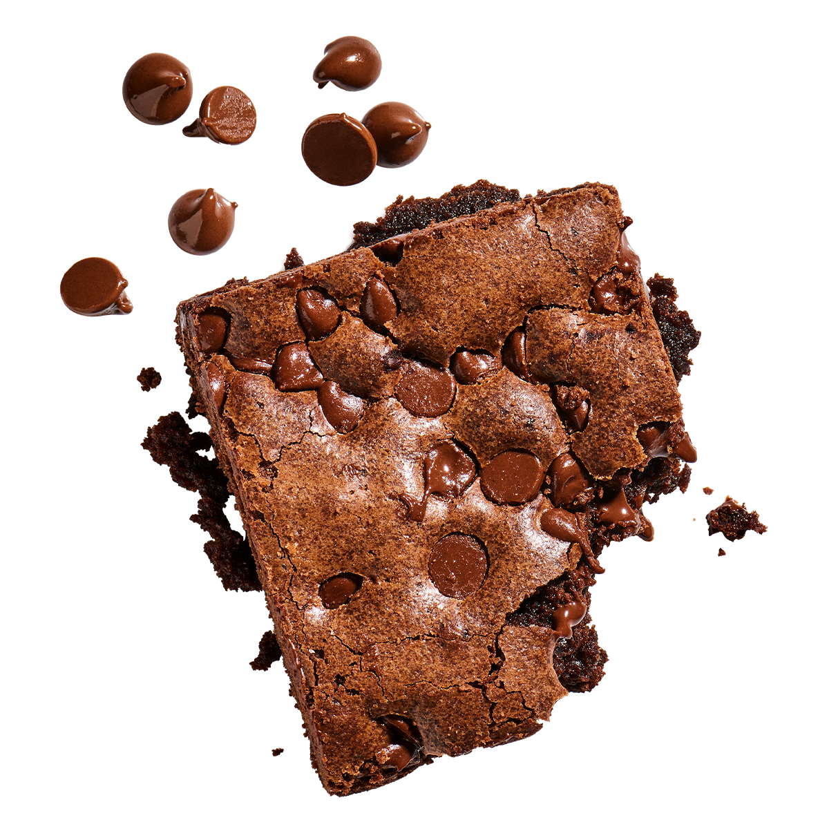 Chocolate Chip Brownie